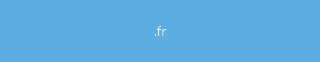 La imagen muestra un fondo azul con un texto centrado en letras blancas que muestra la palabra Dominio-fr 