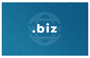 .biz