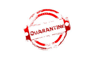 Cuarentenas.org protección e-commerce