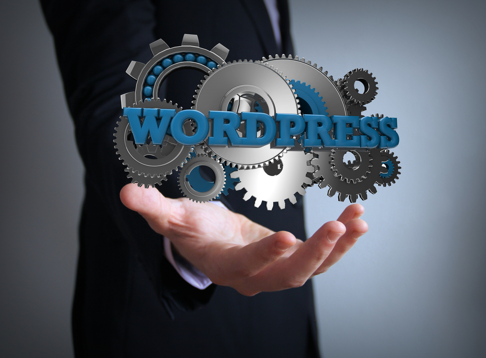 WordPress Scanner | ¿Qué es y cómo funciona?