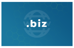 Contratación o renovación de un dominio .biz