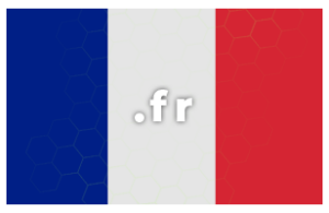 Contratación o renovación de dominio .fr (Francia)